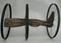 /album/miro-pallo/noha-zmentene-jpg/